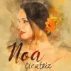 NOA - Cicatriz